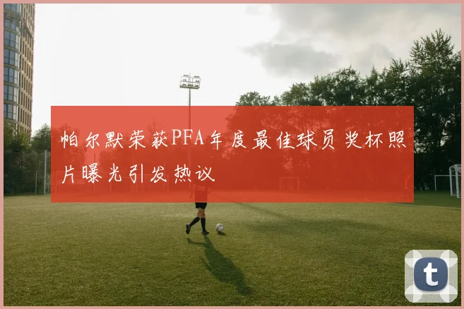 帕尔默荣获PFA年度最佳球员奖杯照片曝光引发热议