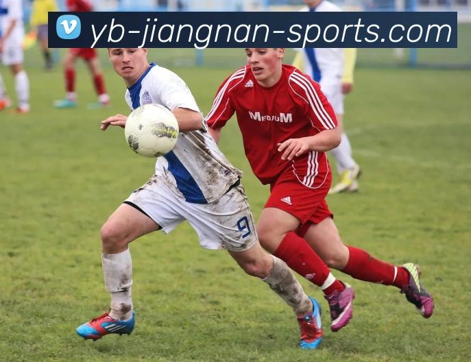 江南体育平台生态图